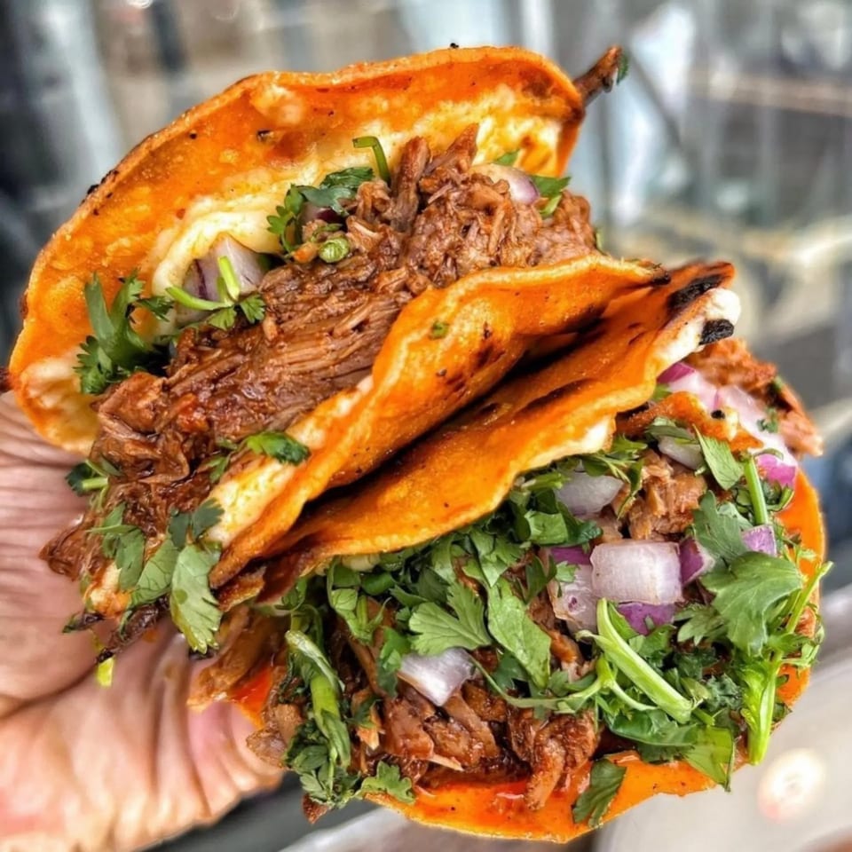 Two birria tacos, filled with shredded meat, cilantro, and red onions, held in a hand.